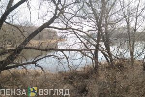 Пензенец снял на видео слив отходов в реку Ардым
