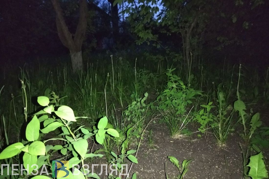 Завершены поиски пропавшего в Пензенской области мужчины