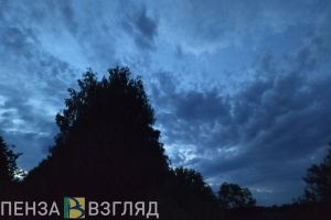 В Пензе две девушки заблудились в болотистой местности