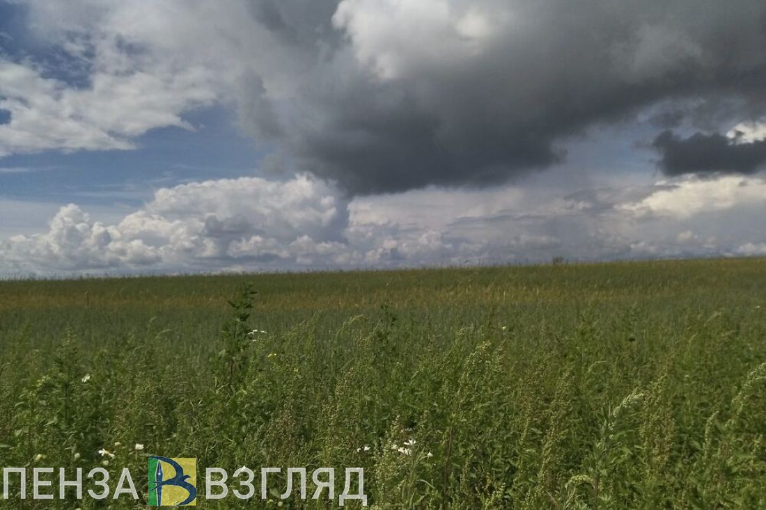 12 июля в Пензенской области ожидается дождь