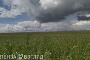 12 июля в Пензенской области ожидается дождь
