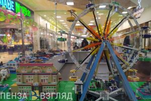 Пензенцы узнали о предложении ввести «Отцовскую карту»