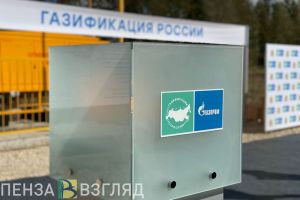 Распоряжение по догазификации, реакция на прививку и гибель юноши в реке: новости Пензы и области за 11 июля