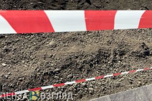 На территориях нескольких районов Пензенской области выявили вспышки бешенства