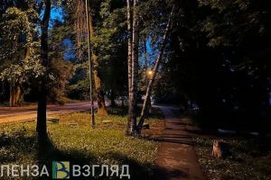 Некоторым пензенцам рекомендовано быть в помещении при наступлении сумерек