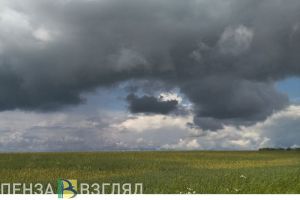 В Пензенской области температура воздуха завтра не поднимется выше 20 градусов