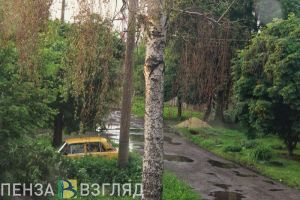 В Пензенской области ждут ночные грозы и дожди