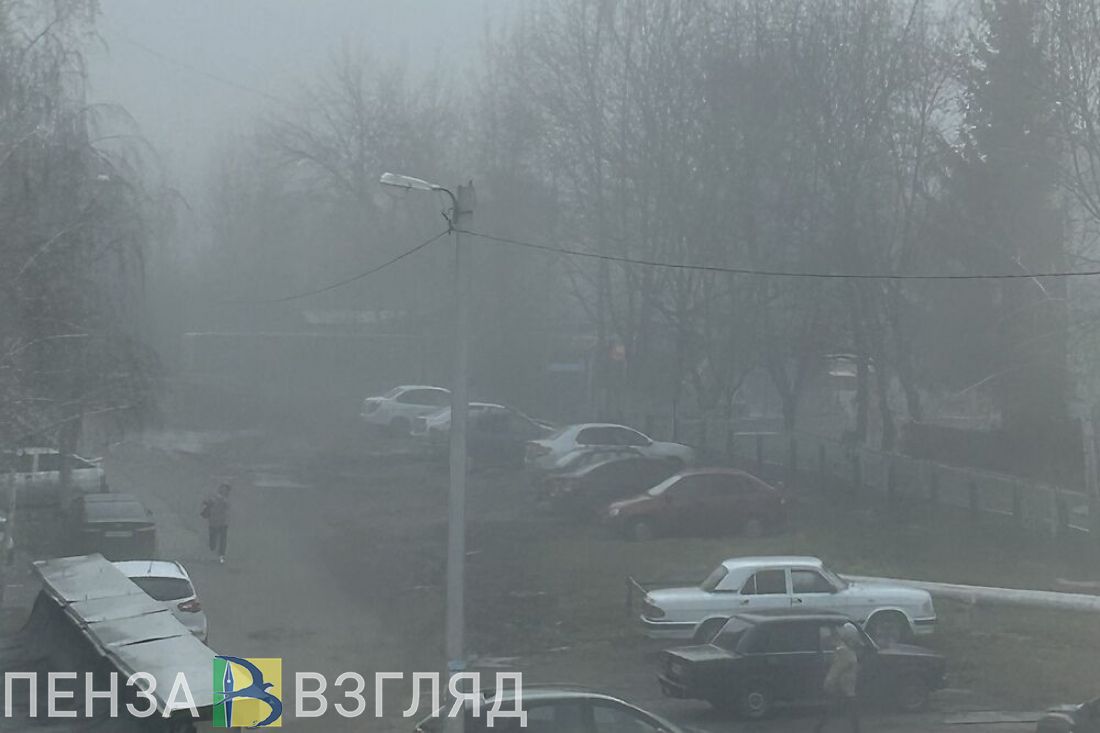15 июля в Пензенской области ожидаются дождь и туман