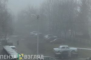 15 июля в Пензенской области ожидаются дождь и туман