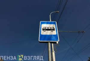 Пензенцам рассказали, как повышают доступность общественного транспорта для инвалидов