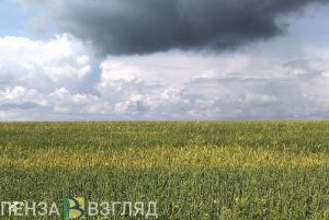 На выходных Пензенская область останется во власти циклона