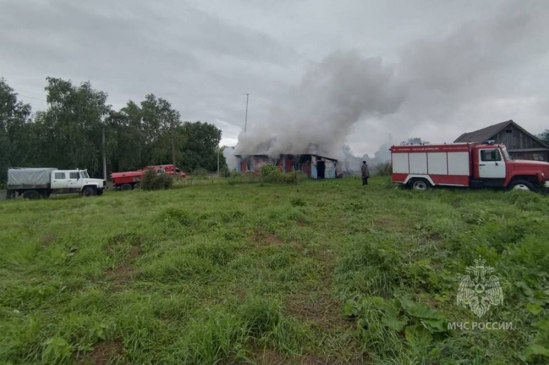 При пожаре в пензенском селе погиб мужчина