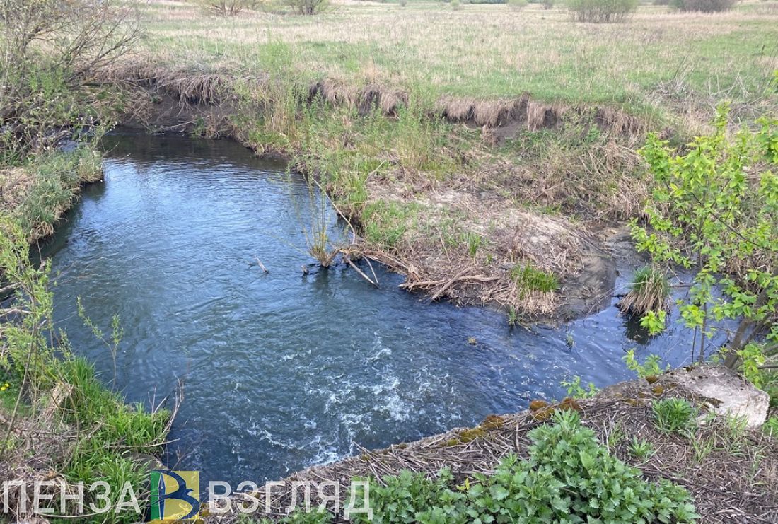 Вода в ручье Безымянном не соответствует СанПиН по бактериологическим  показателям