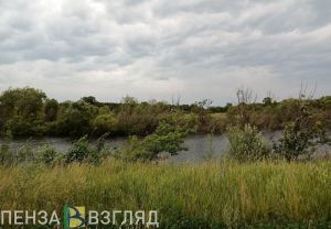 В Пензенской области ожидаются дожди с грозами и порывистым ветром