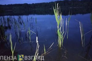 В Пензенской области возбудили уголовное дело после ловли трех рыб