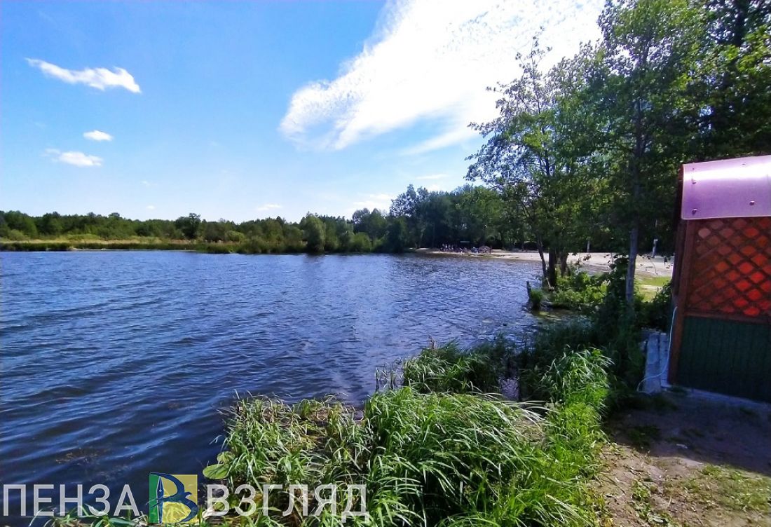 Река Вядь в Пензенской области