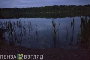 В Пензенской области рыболов-браконьер предложил взятку в Уголовном кодексе