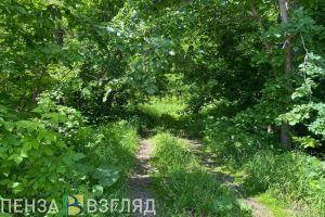 В Пензе пропал 42-летний мужчина