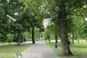Пензенцам рассказали, как продвигается благоустройство скверов и парков