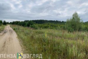 В среду пензенские синоптики прогнозируют грозу и сильный ветер