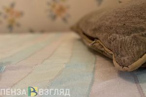 Пензенцы стали чаще жаловаться на блох и клопов в квартирах