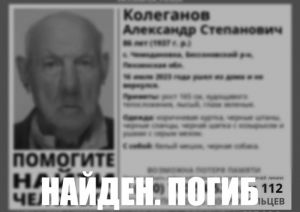 Пропавший в Пензенской области 86-летний житель Чемодановки найден мертвым
