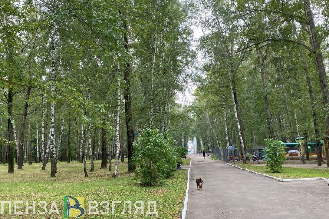 В Пензенской области температура за сутки может вырасти на 14 градусов