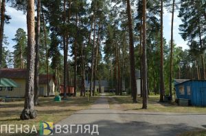 В Пензенской области подано 915 заявлений на бесплатный отдых в лагерях для детей участников СВО