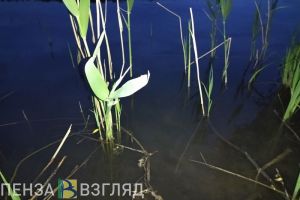 Незаконная рыбалка привела жителя Пензы на скамью подсудимых