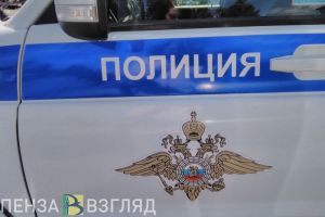 В Пензенской области полицейские нашли у водителя за обшивкой машины 6 килограммов наркотиков