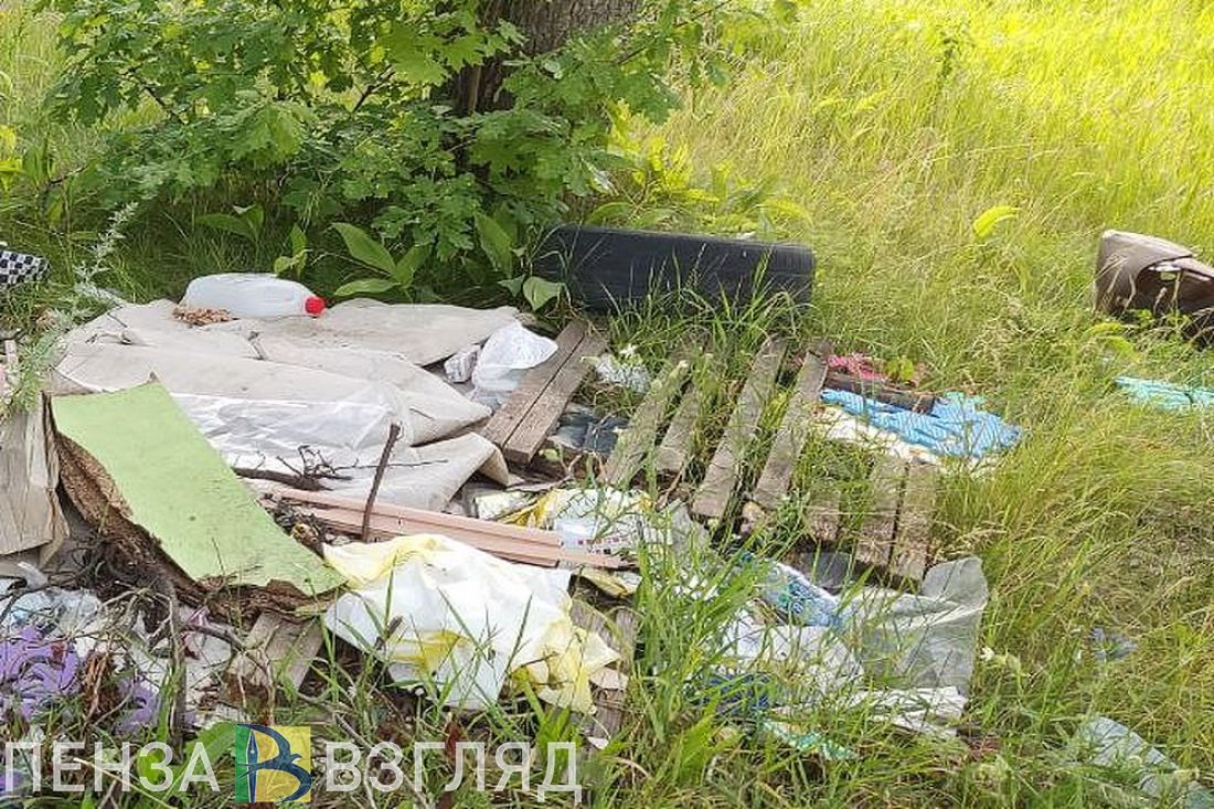 В Лопатинском районе суд заставил сельсоветы заняться уборкой стихийных свалок