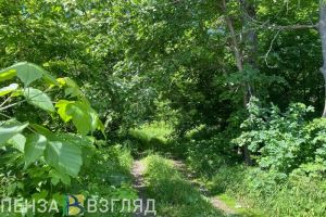 В Пензе пропала 53-летняя Алла Балабанова