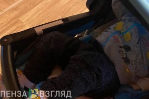 Специалисты объяснили пензенцам, до какого возраста выплачивают единое пособие