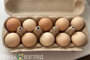 В Пензенской области снизились цены на продовольственные товары