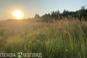 Жителей Пензенской области предупредили, что 27 июля ожидается желтый уровень погодной опасности