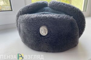 Пензенцам разъяснили нюансы отсрочки от мобилизации для отцов троих детей