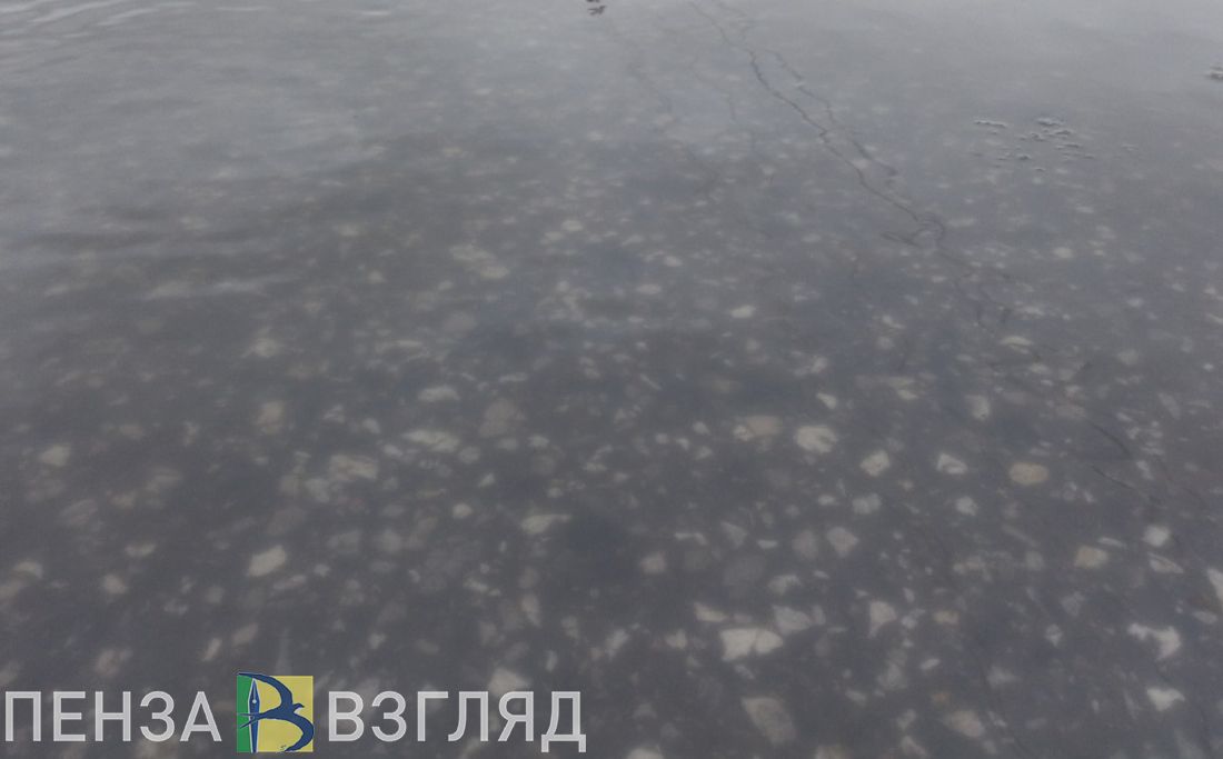 Жители Шуиста пожаловались на подтопление территории