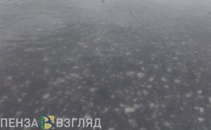 Жители Шуиста пожаловались на подтопление территории