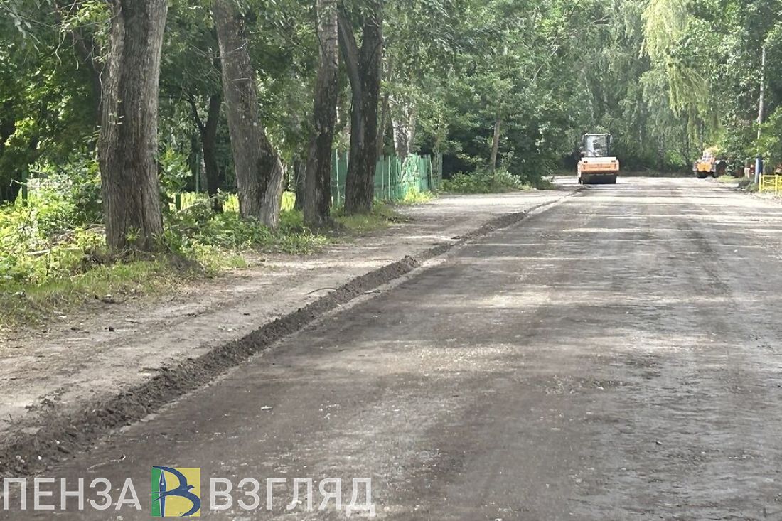 В Земетчинском районе жители просят привести в порядок проезд от села Морсово до Чернояра