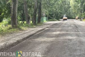 В Земетчинском районе жители просят привести в порядок проезд от села Морсово до Чернояра