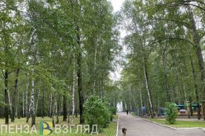 В субботу в Пензенской области ожидается желтый уровень погодной опасности