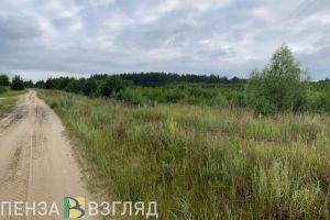 Пропал житель Городищенского района, который ушел в лес