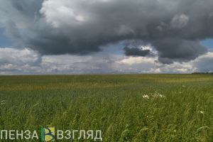 30 июля в Пензенской области прогнозируется желтый уровень погодной опасности