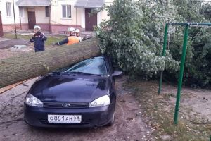 Пензенские спасатели опубликовали новые фото с последствиями урагана в Никольске