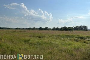 Жителей Пензенской области предупредили о желтом уровне погодной опасности 2 августа