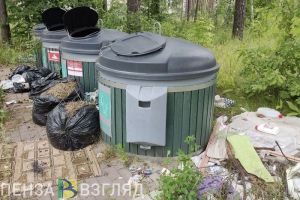 Суд обязал администрацию Неверкинского района установить контейнеры для сбора ТКО