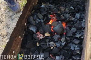В Пензенской области трое суток будет сохраняться высокая пожарная опасность