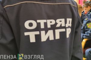 Командир пензенского отряда «Тигр» победила на Всероссийском конкурсе  «iВолга» и получила 300 тысяч рублей