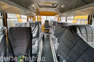 Стало известно, какие автобусы поступят в Пензенскую область за счет казначейских кредитов