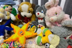 Пензенцам объяснили, как подать заявление на маткапитал